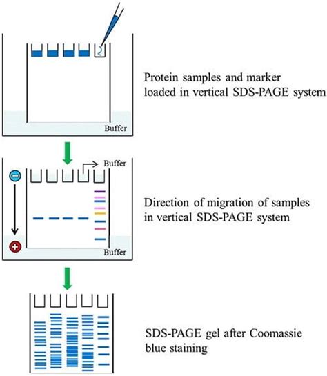 how to read sds page|Introduction to SDS.